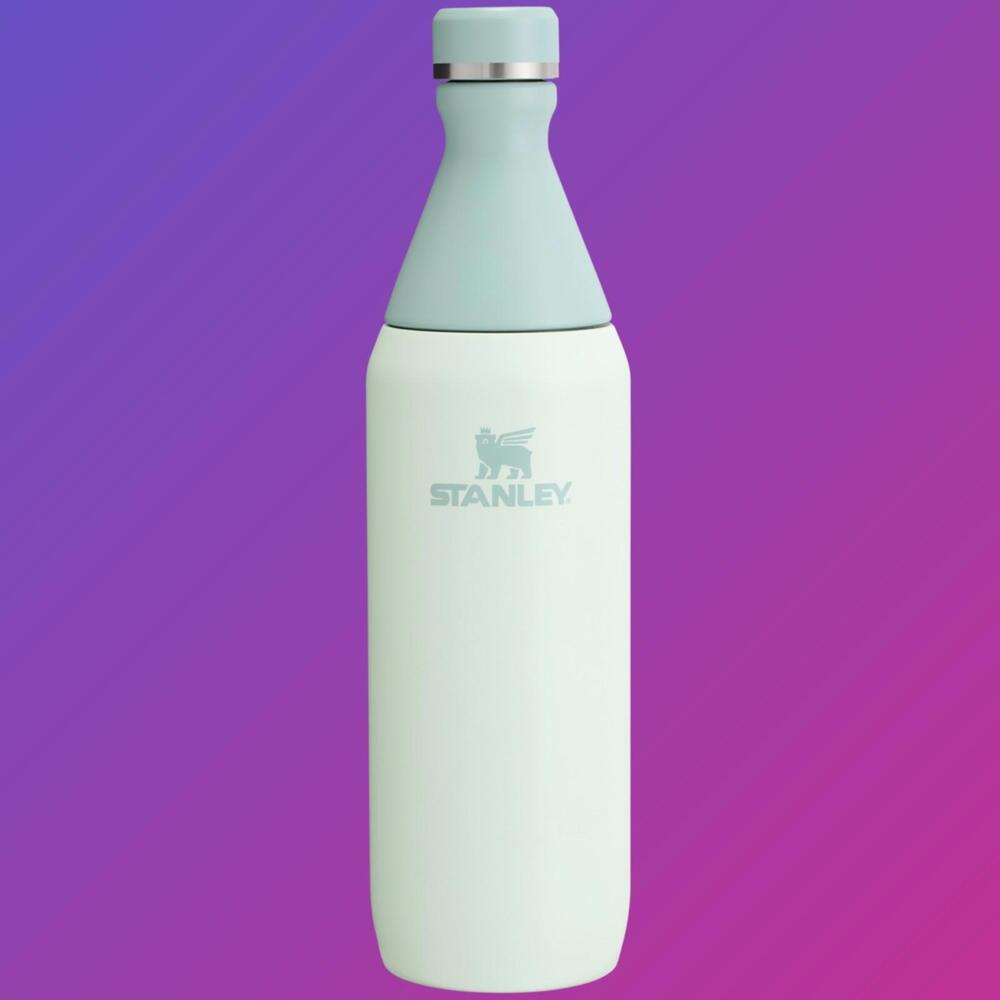 Stanley All Day Slim Bottle‎ 20oz Double Wall Insulated Stainless Steel Mist